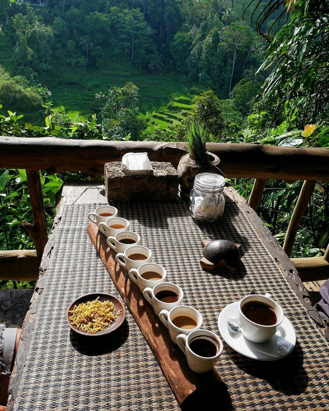 Nusa Dua Instagram Tour Coffee Plantation